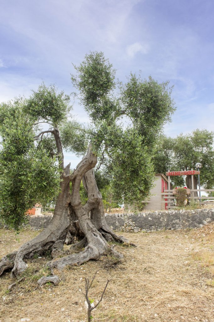 AgriturismoPassioneNatura-3